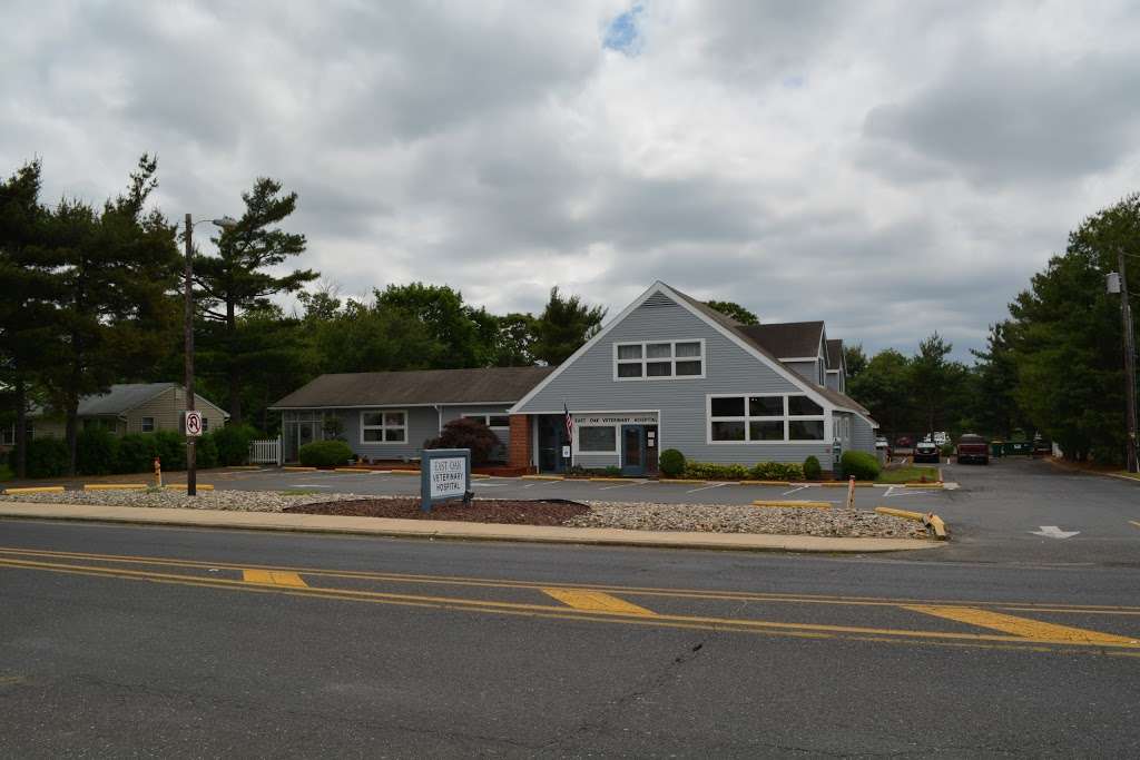 East Oak Veterinary Hospital | 1673 E Oak Rd, Vineland, NJ 08361 | Phone: (856) 696-4440