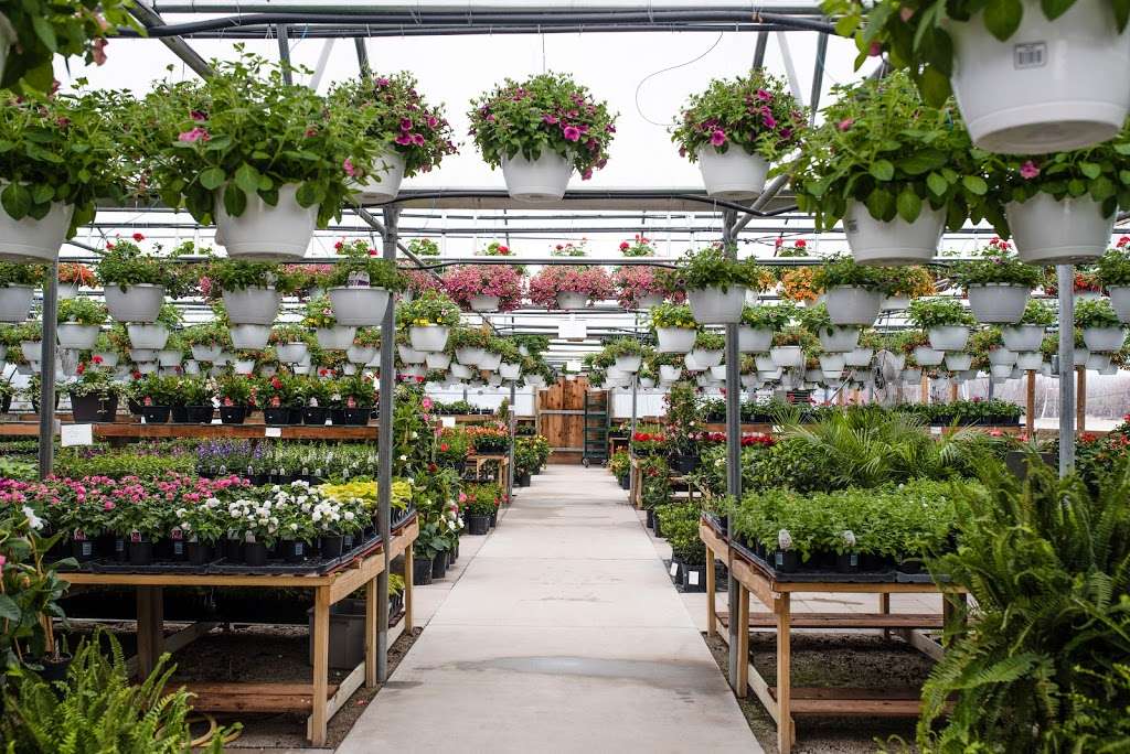 Benoit Greenhouses | 568 N 2750E Road, Kankakee, IL 60901, USA | Phone: (815) 939-1992