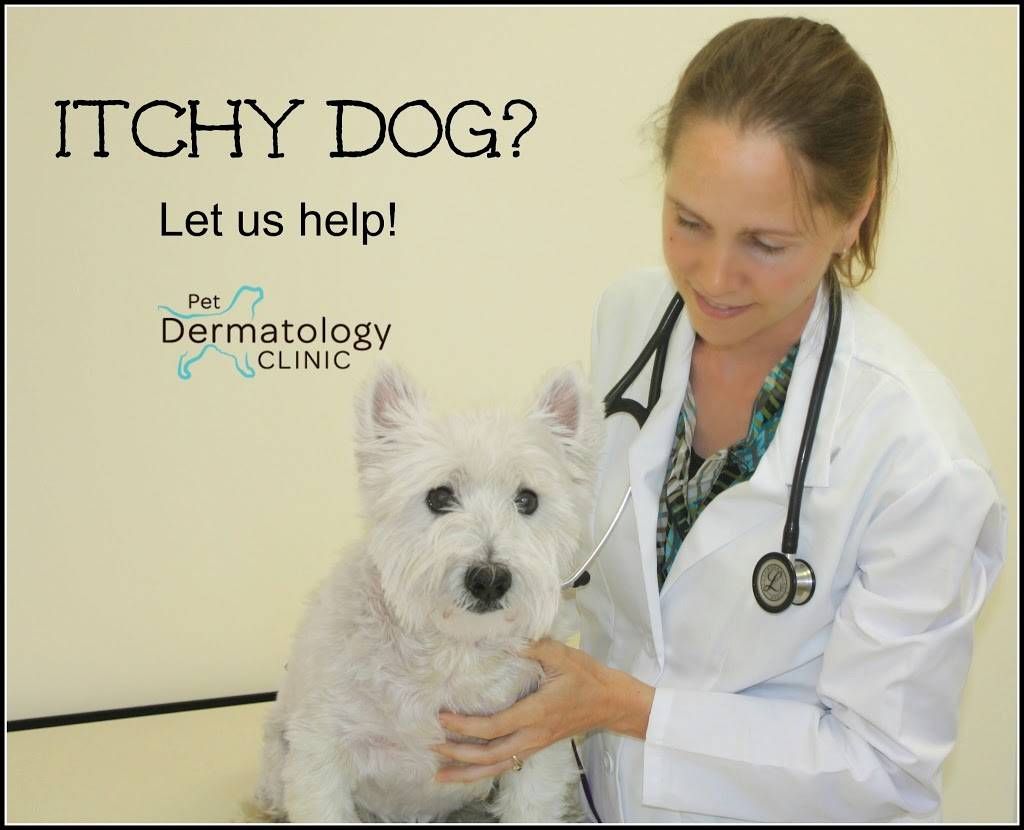 Pet Dermatology Clinic | 9712 63rd Ave N, Maple Grove, MN 55369, USA | Phone: (763) 210-1177