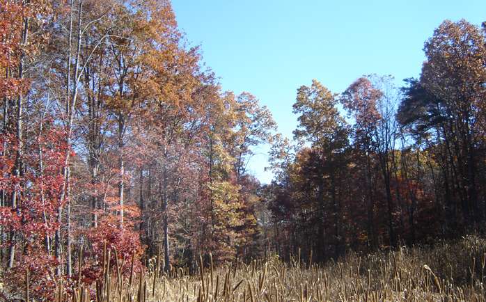 Winter Haven Game Preserve | 500 Venable Rd, Palmyra, VA 22963, USA | Phone: (434) 589-6977