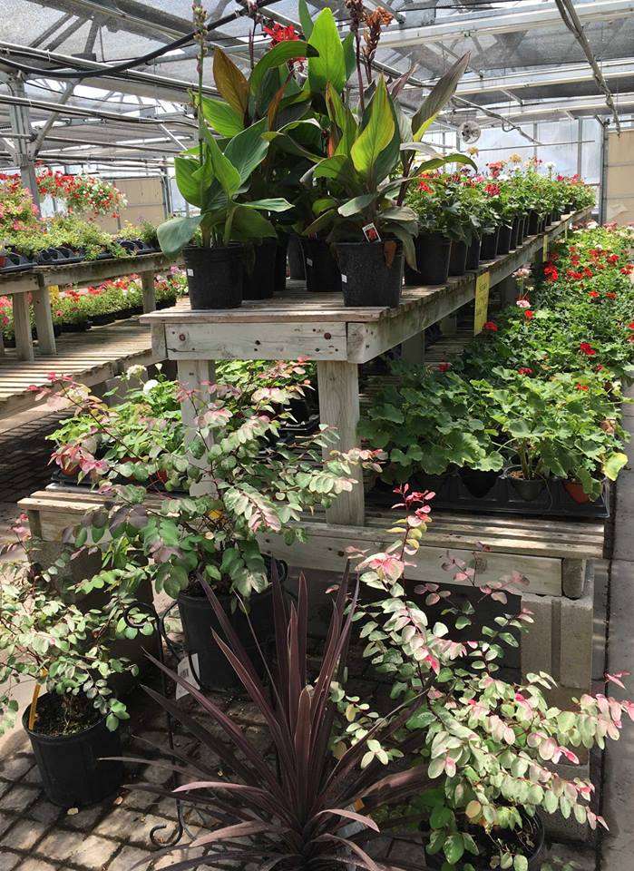 Tholens Landscape & Garden Center | 31 E Seedorf School Rd, Kankakee, IL 60901 | Phone: (815) 939-9670