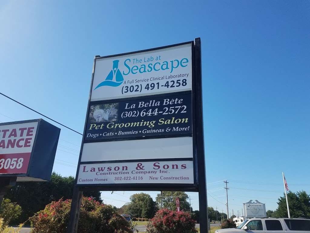 Seascape Health Alliance | 628 Milford Harrington Hwy #5, Milford, DE 19963 | Phone: (302) 491-4258