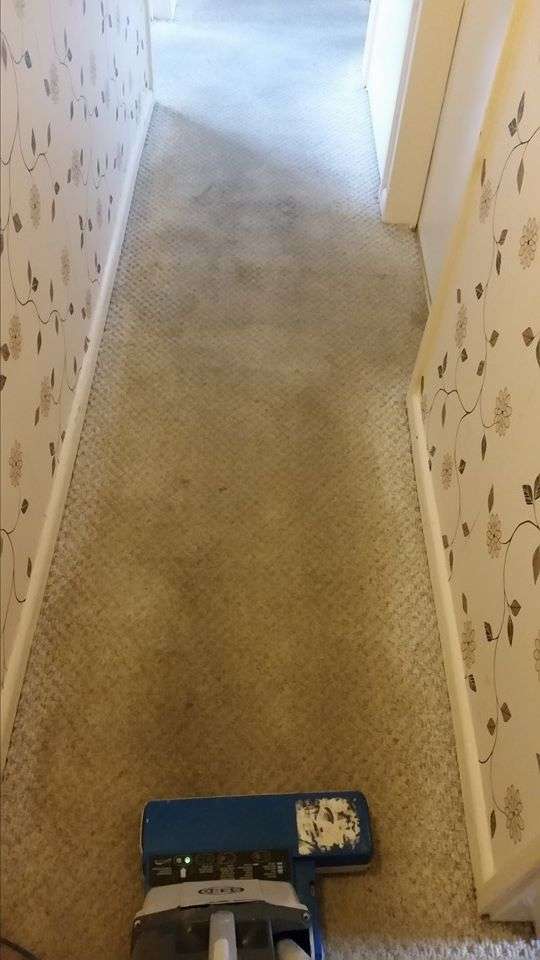 Vibrant Carpets | 10 Kelvedon Cl, Brentwood CM13 1QS, UK | Phone: 01277 289122