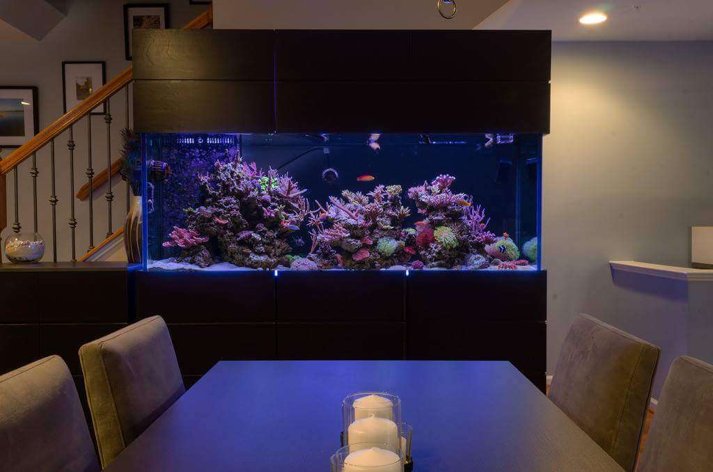 Aquatic Creations | 12729 1/2 foothill blvd, Sylmar, CA 91342 | Phone: (818) 370-9778