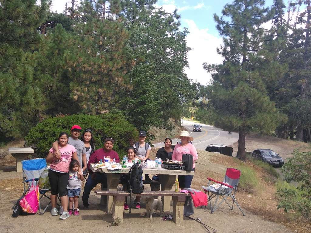 Arch Picnic Area | 34°2249.4"N 117°4141., CA-2, Valyermo, CA 93563, USA