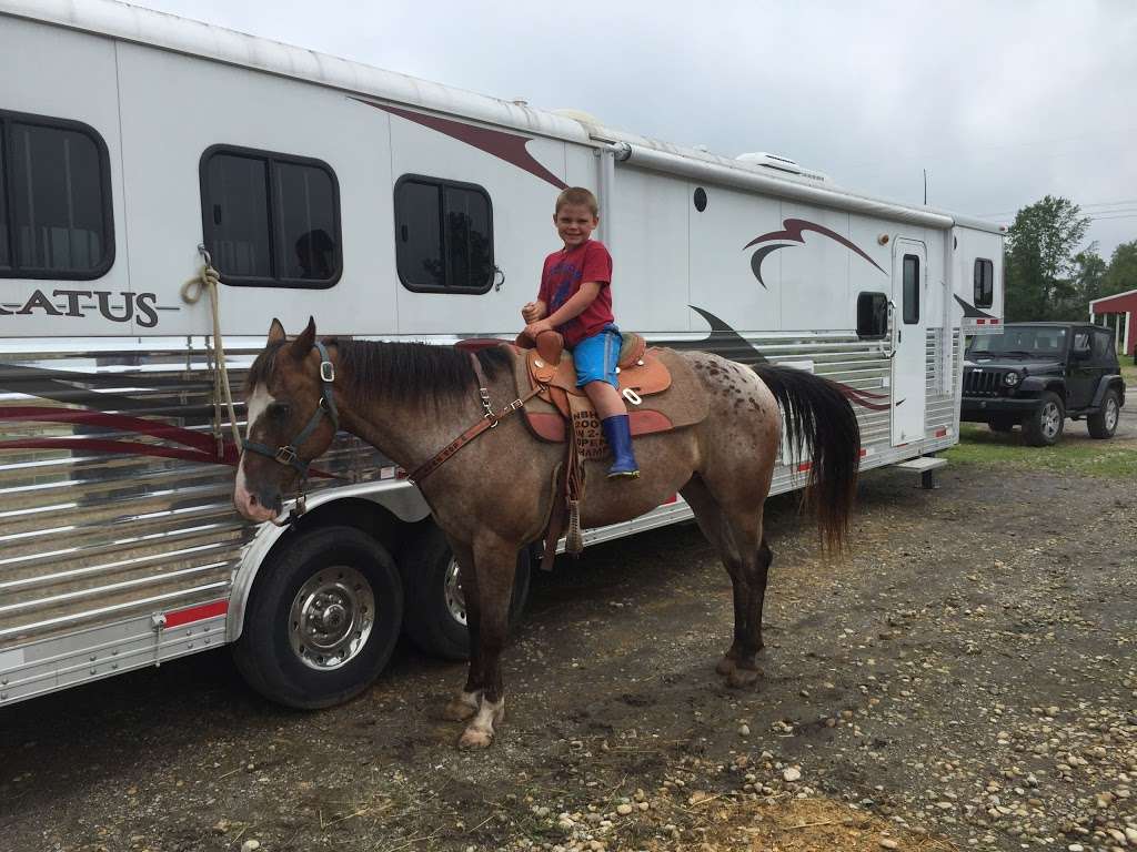 Justin Newland performance horses | 2727 S us Hwy 421, Westville, IN 46391, USA | Phone: (574) 933-2590