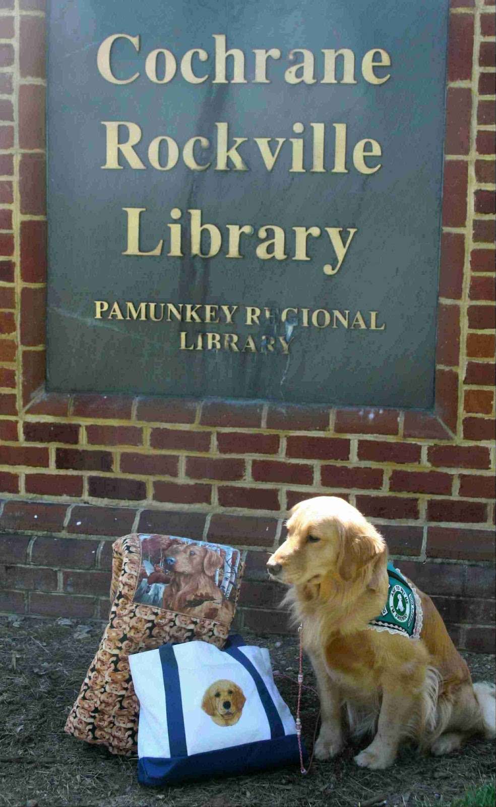 Cochrane Rockville Branch Library | 16600 Pouncey Tract Rd, Rockville, VA 23146, USA | Phone: (804) 749-3146
