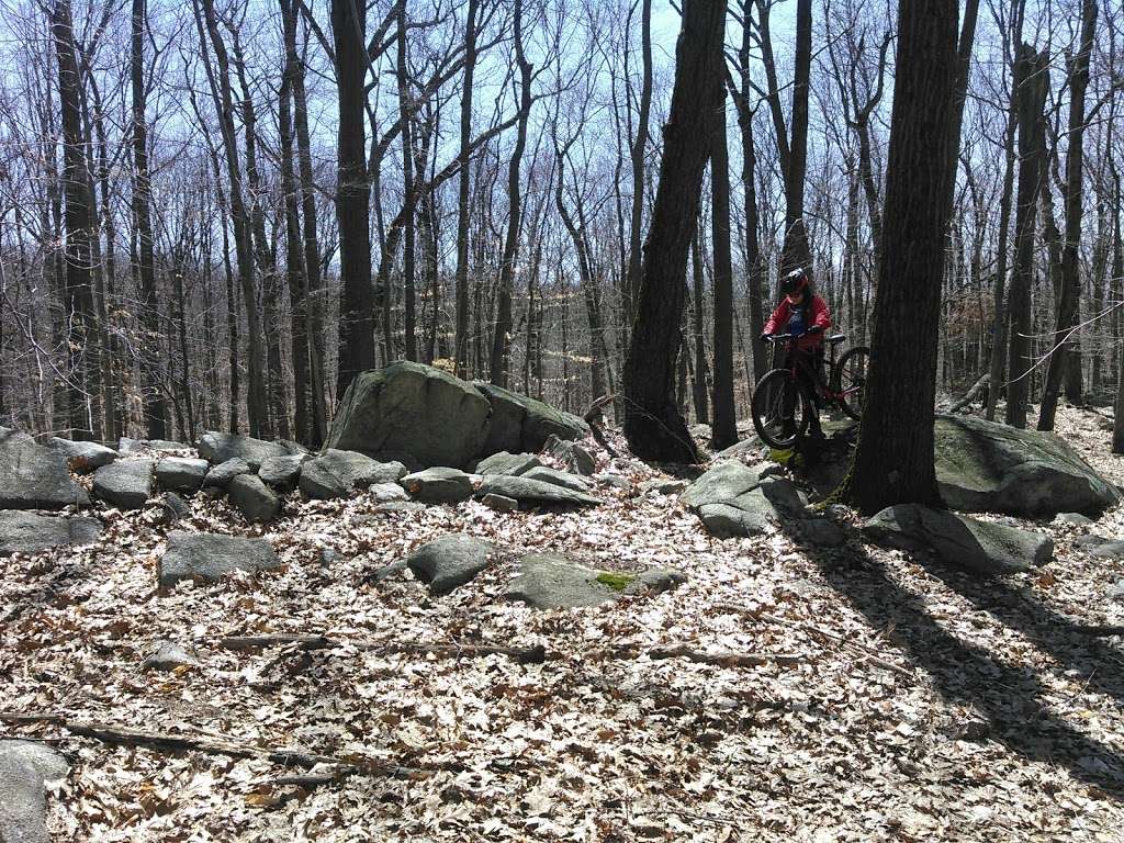 Giant Rock | Mohegan Lake, NY 10547, USA