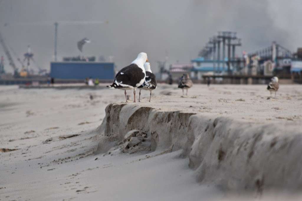 Seaside Heights Boardwalk | Boardwalk, Seaside Heights, NJ 08751, USA