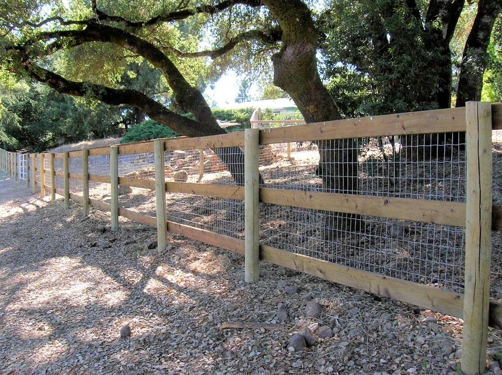 SC Barns Buildings and Fence | 3224 Dutton Ave, Santa Rosa, CA 95407, USA | Phone: (707) 523-3513