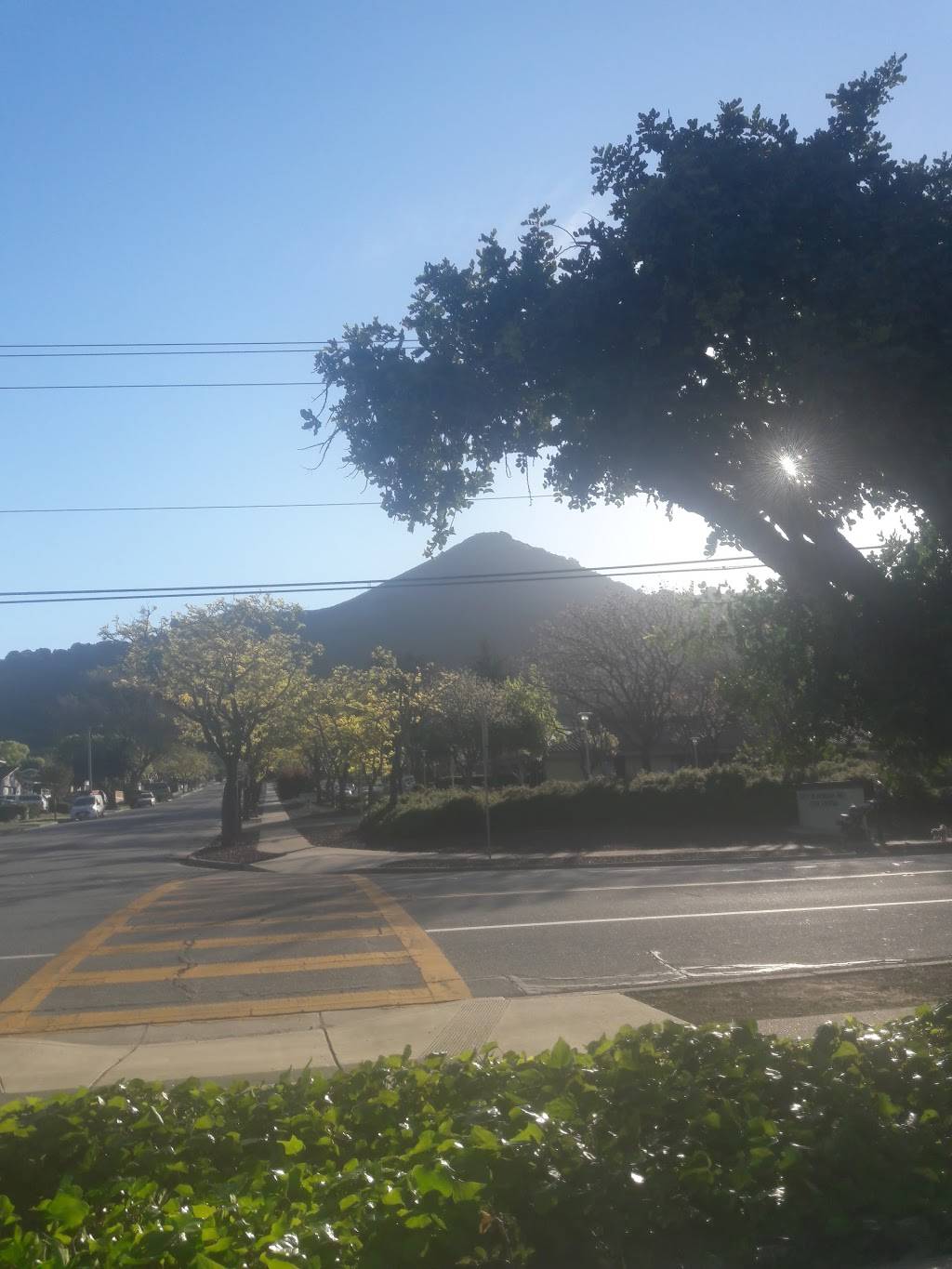St Catherine of Alexandria Catholic Church | 17400 Peak Ave, Morgan Hill, CA 95037, USA | Phone: (408) 779-3959