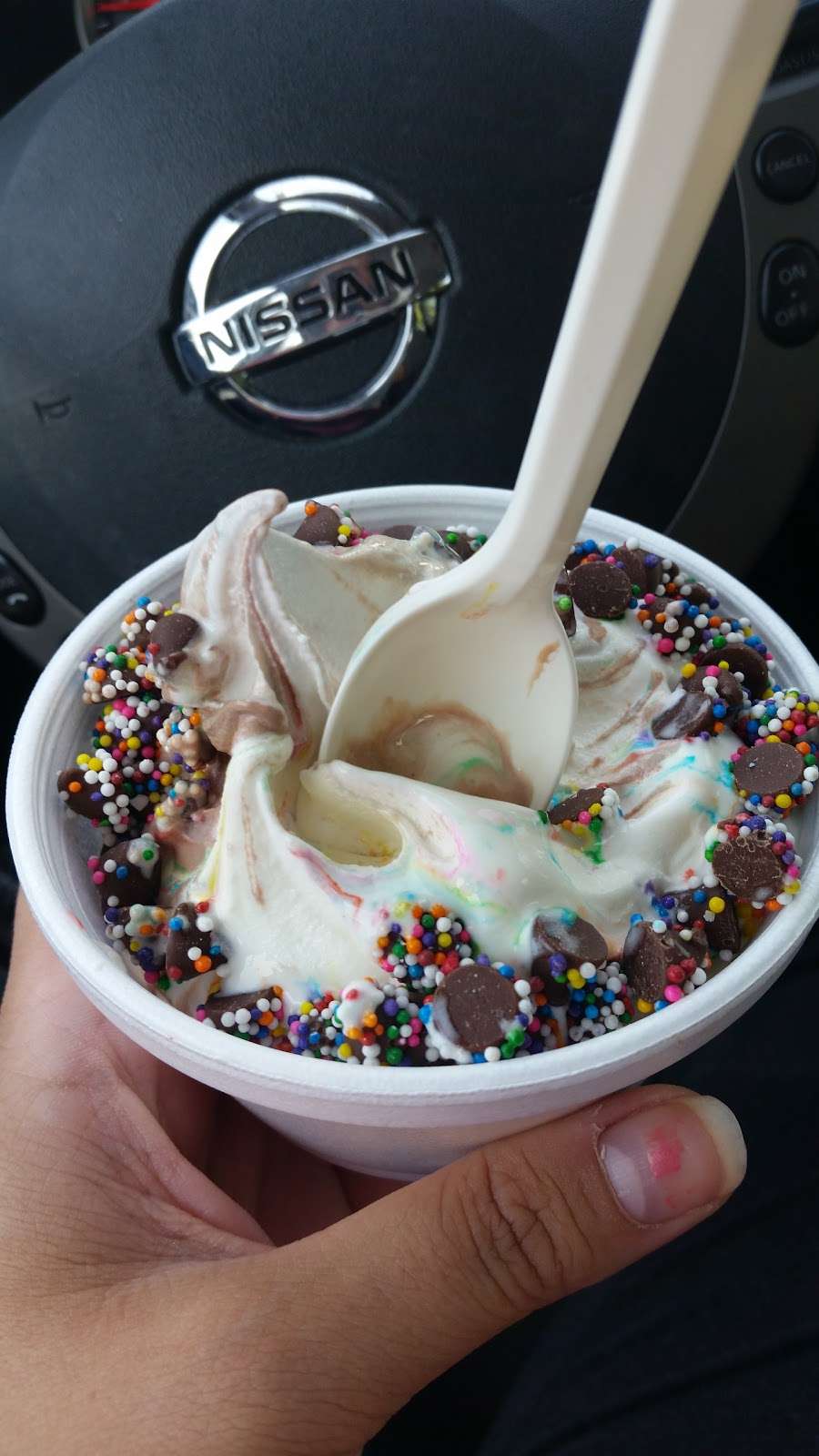 Polar Cub Ice Cream | 380 US-22, Whitehouse Station, NJ 08889, USA | Phone: (908) 534-4401