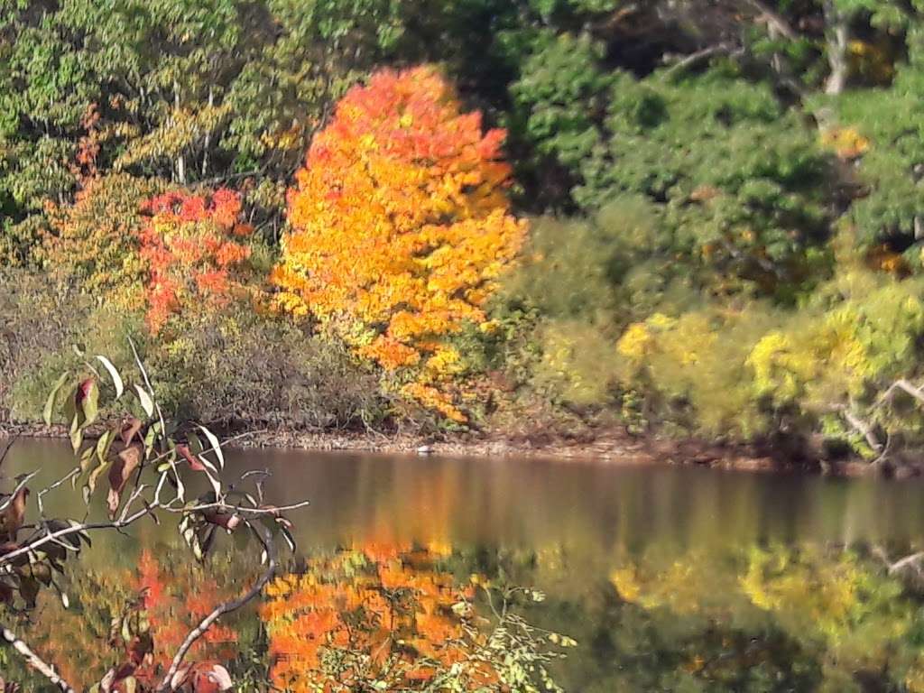 Horn Pond Recreation Area | Arlington Rd, Woburn, MA 01807, USA | Phone: (781) 897-5805