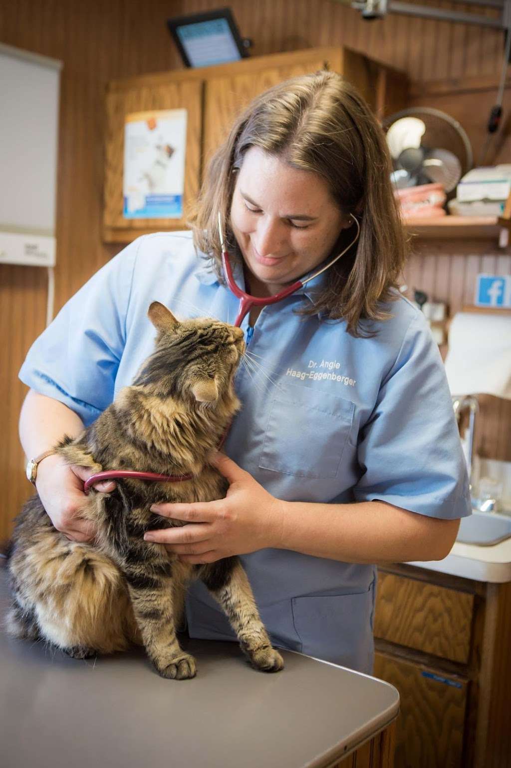 Dwight Veterinary Clinic | 305 S Old Rte 66, Dwight, IL 60420 | Phone: (815) 584-2732