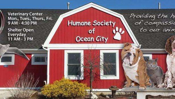 Humane Society of Ocean City | 1 Shelter Rd, Ocean City, NJ 08226 | Phone: (609) 398-9500