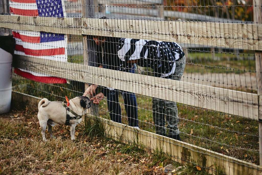 Cornwall NY Dog Park | 15 Muser Dr, Cornwall, NY 12518, USA | Phone: (845) 213-8650