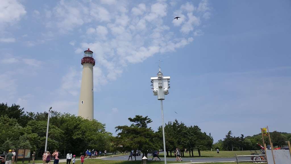 Cape May Bird Observatory - Center for Research and Education | 600 N Delsea Dr, Cape May Court House, NJ 08210 | Phone: (609) 861-0700