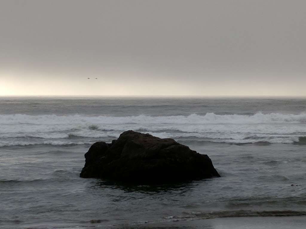 Salmon Creek State Beach | CA-1, Bodega Bay, CA 94923, USA