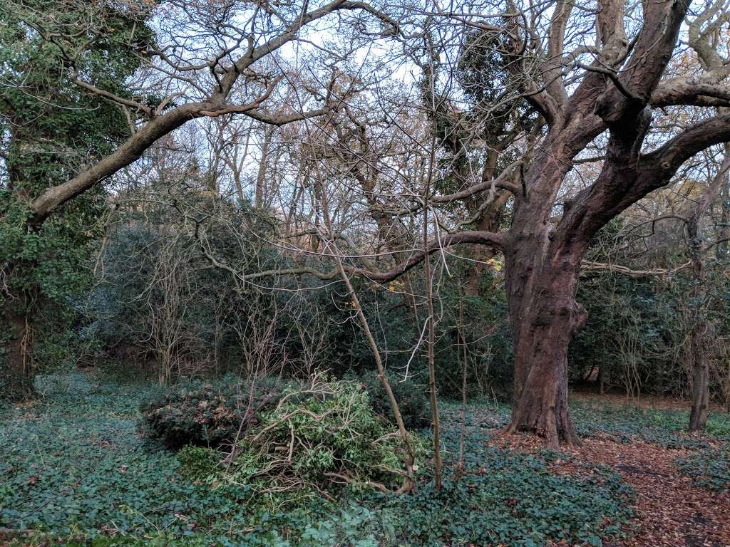 Hainault Lodge Nature Reserve | Chigwell IG6 3HP, UK