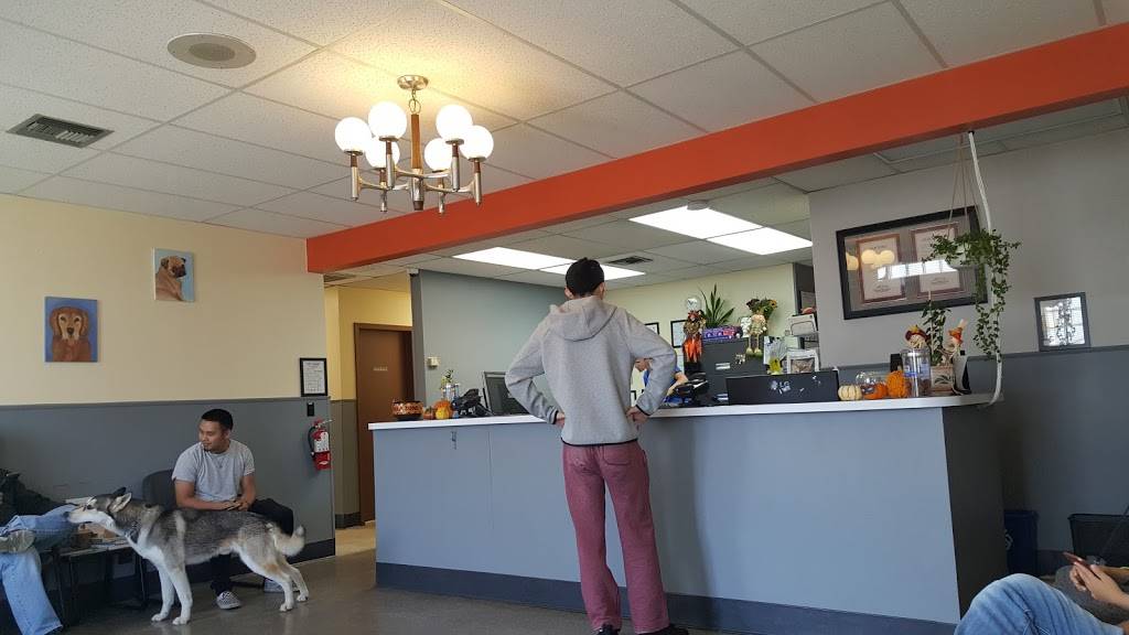 San Bruno Pet Hospital | 1111 El Camino Real, San Bruno, CA 94066, USA | Phone: (650) 583-5039