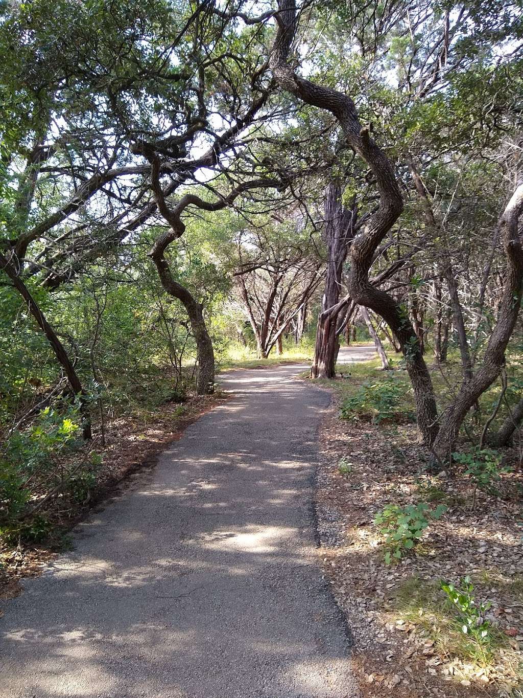 Friedrich Wilderness Park | 21395 Milsa Dr, San Antonio, TX 78256 | Phone: (210) 207-3781