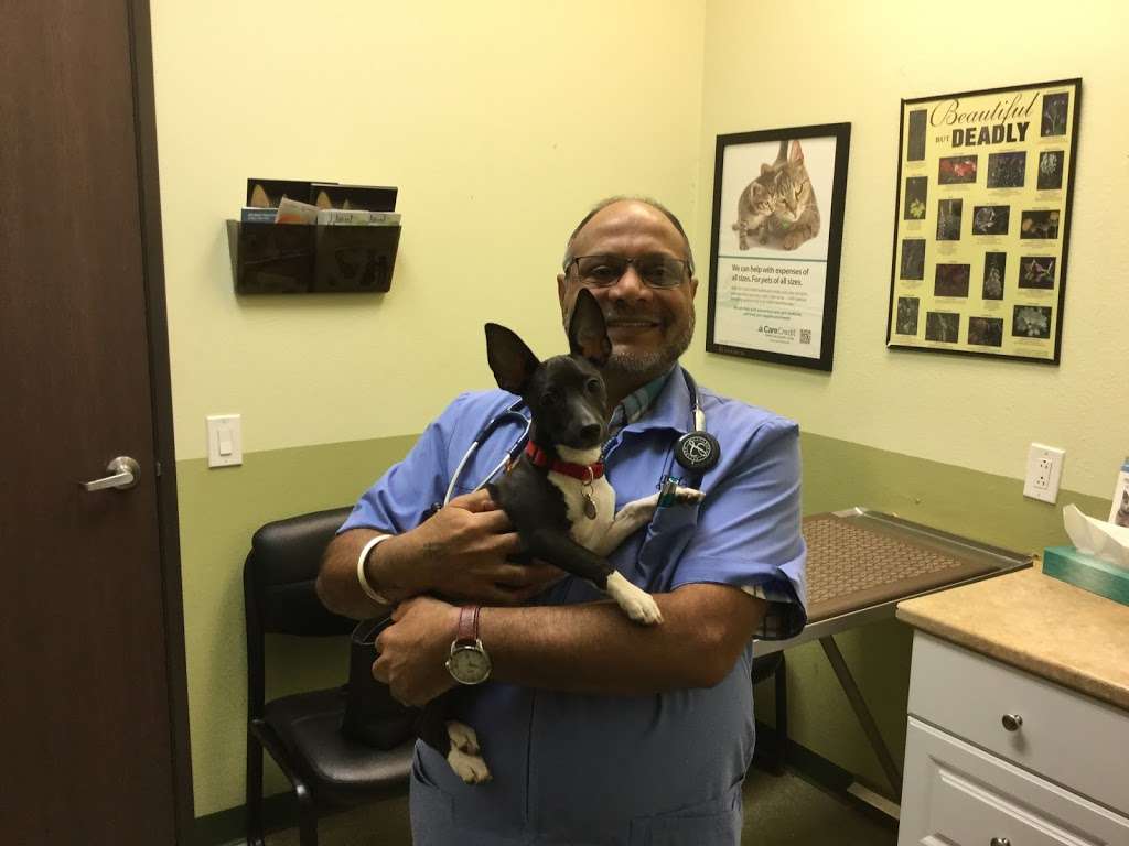 French Valley Veterinary Hospital | 30660 Benton Rd D 401, Winchester, CA 92596 | Phone: (951) 926-8000