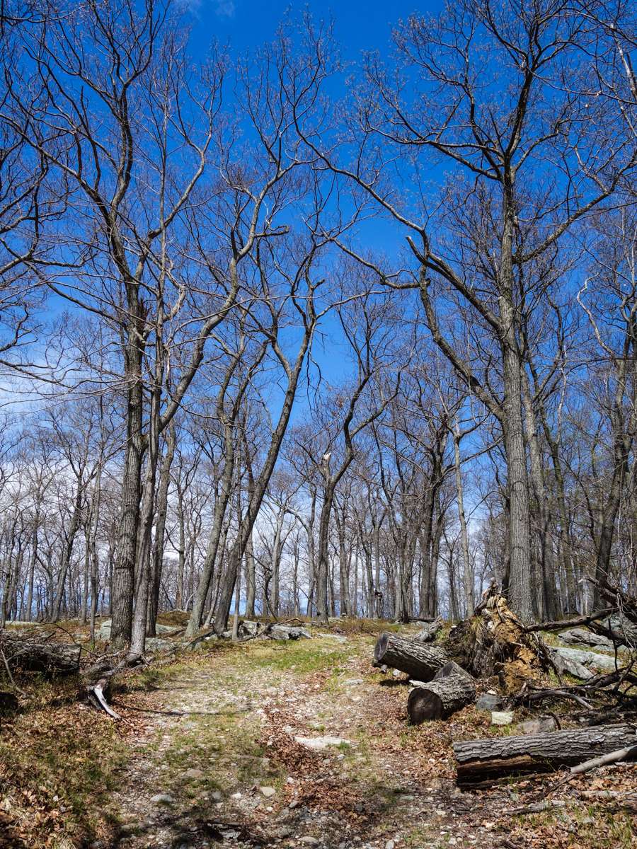 Stahahe High Peak | Tuxedo, NY 10975, USA