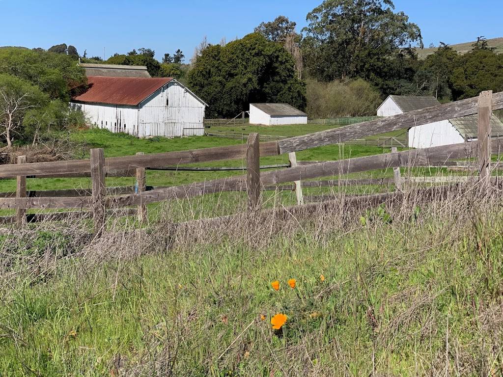 Santa cruz, wilder ranch | Coast Rd, Santa Cruz, CA 95060, USA