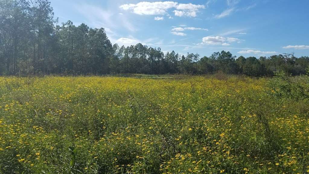 Richloam Wildlife Management Area | Webster, FL 33597, USA | Phone: (352) 732-1225