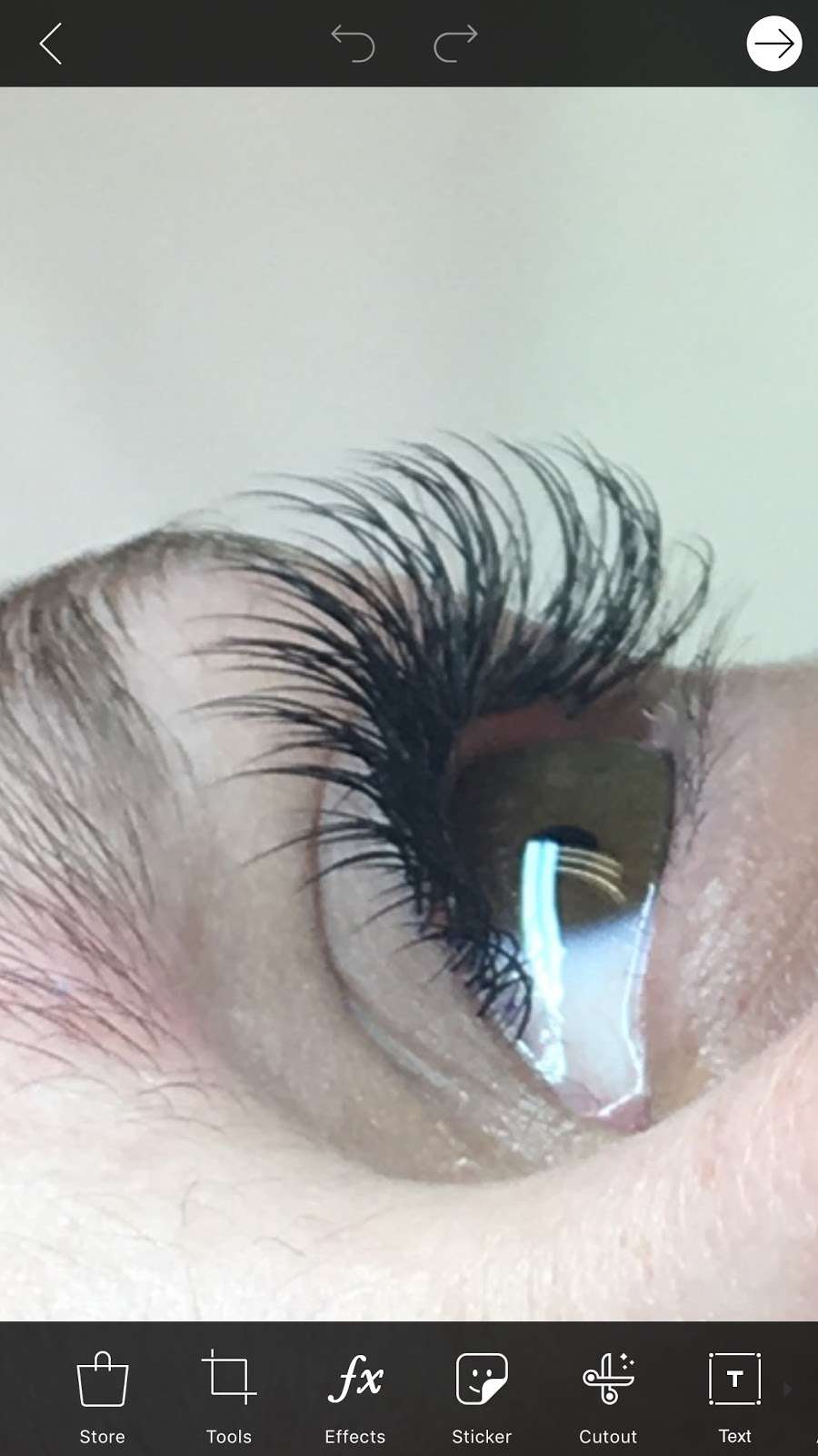 Protouch Lash | 3300 Towers Boulevard, Seabrook, TX 77586, USA | Phone: (832) 629-8754