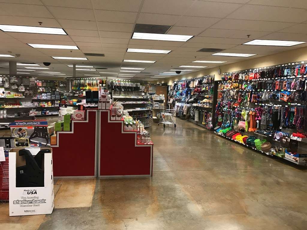 Kole Imports & Closeouts | 24600 S Main St, Carson, CA 90745 | Phone: (800) 874-7766