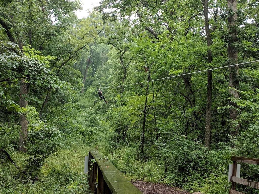 Go Ape Zip Line & Treetop Adventure - Swope Park | 7331 Oakwood Dr, Kansas City, MO 64132, USA | Phone: (800) 971-8271