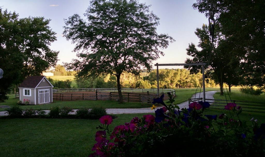 Horseplay Acres Therapy Services | 12849 Calhoun Rd, Omaha, NE 68152, USA | Phone: (402) 637-7345