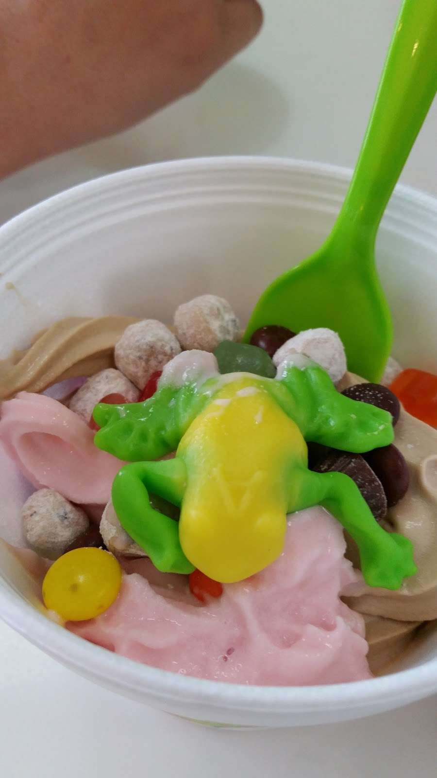 sweetFrog Premium Frozen Yogurt | 141 Wilson Ave, Hanover, PA 17331 | Phone: (717) 630-0630