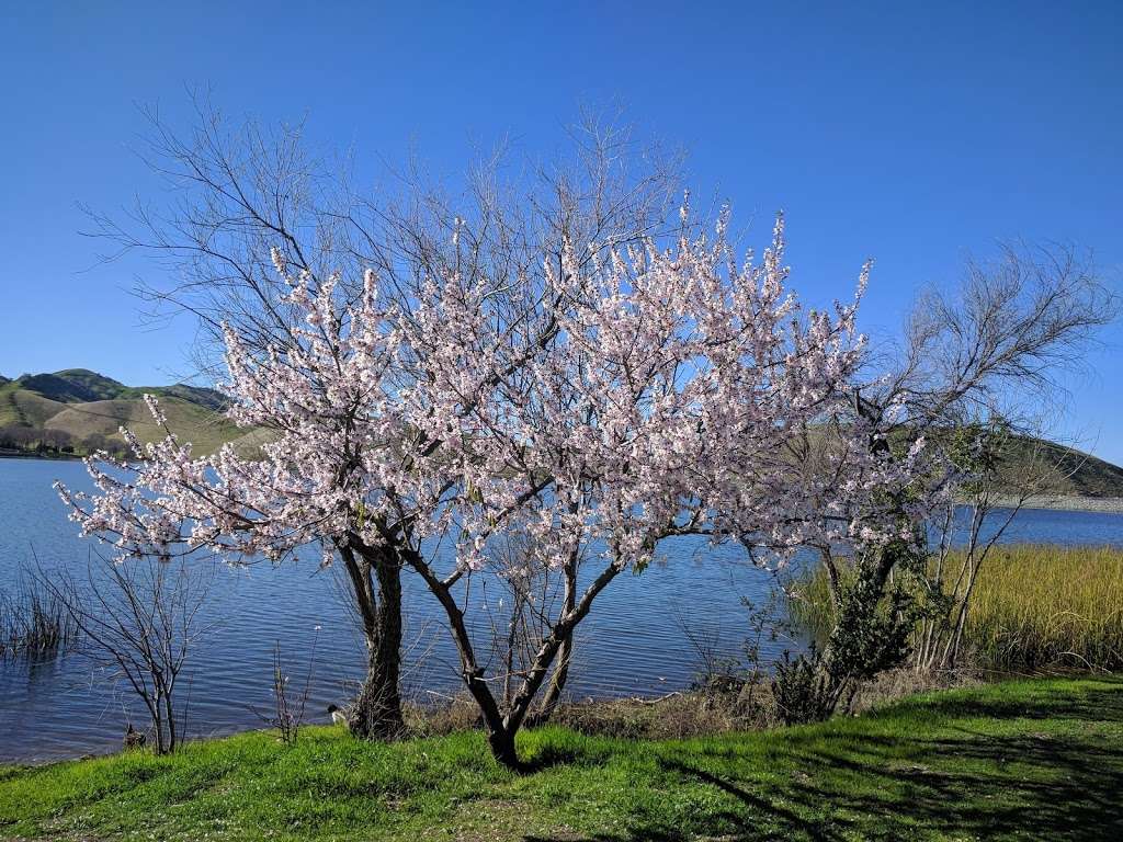 Contra Loma Regional Park | 1200 Frederickson Ln, Antioch, CA 94509, USA | Phone: (888) 327-2757