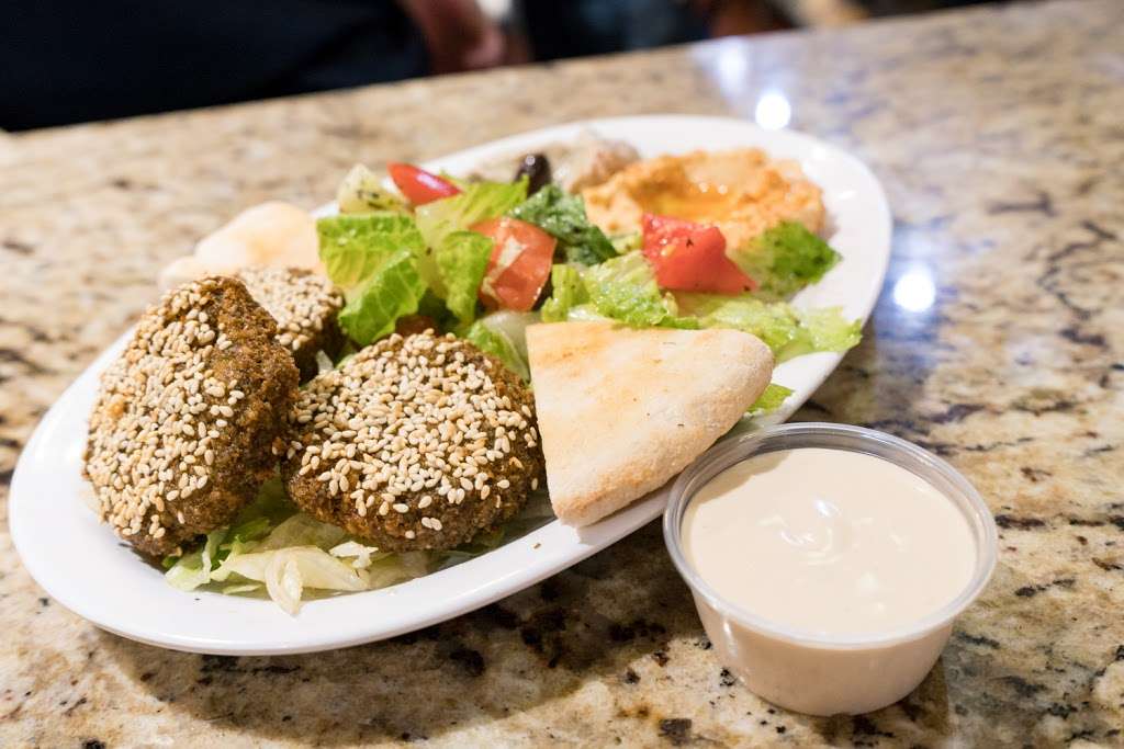 Chic-N-Gyro | 520 West State Road 436 #1112, Altamonte Springs, FL 32714, USA | Phone: (407) 543-8484