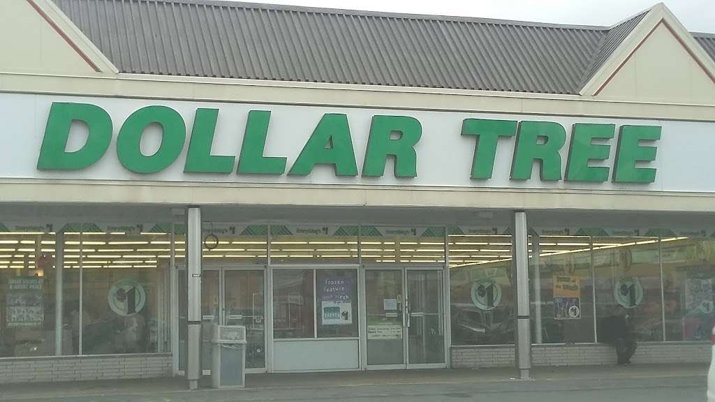 Dollar Tree | 1000 S Washington Ave, Scranton, PA 18505, USA | Phone: (570) 871-6055