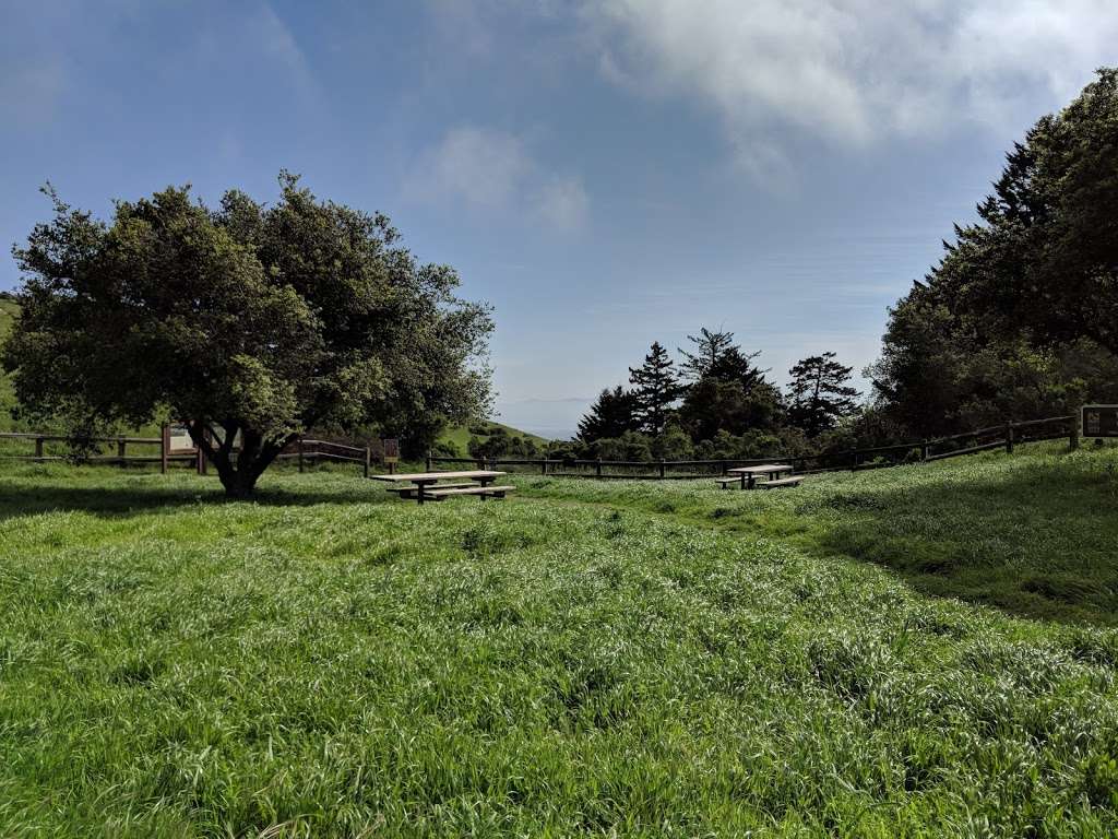 Windy Hill Open Space Preserve | Portola Valley, CA 94028, USA | Phone: (650) 691-1200