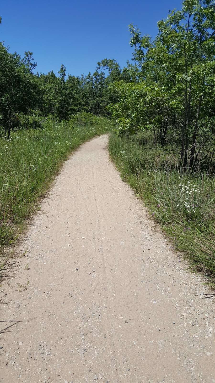 Illinois Beach Nature Preserve | N Sheridan Rd, Waukegan, IL 60087, USA | Phone: (847) 662-4811