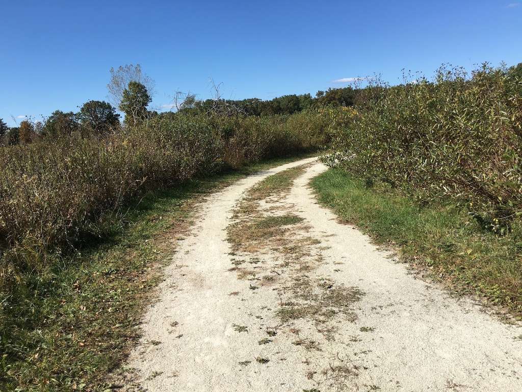 North Dunes Nature Preserve | Zion, IL 60099, USA