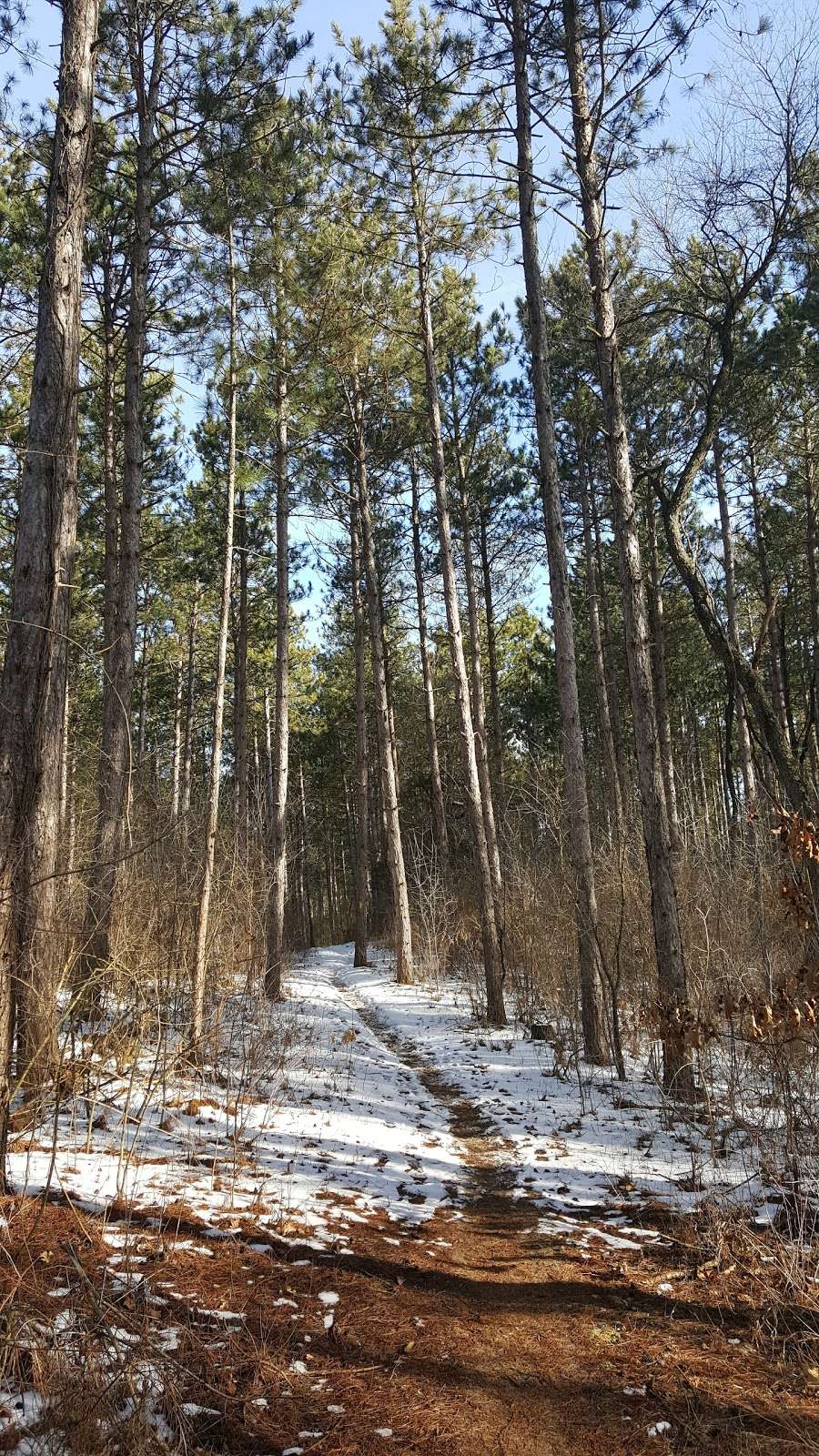 Bald Bluff Nature Trail | Co Rd H, Palmyra, WI 53156, USA | Phone: (262) 594-6200