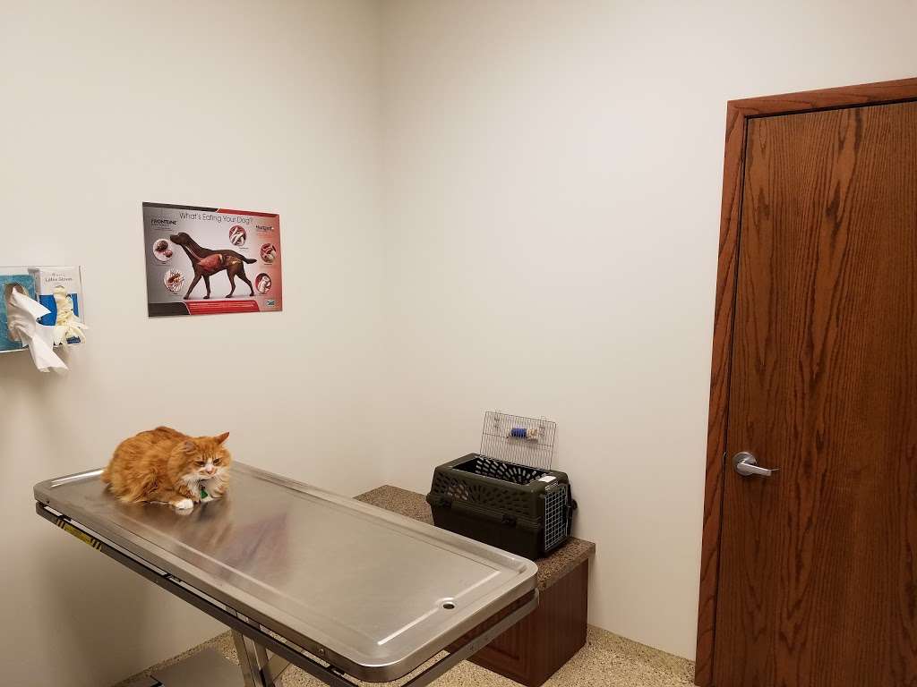 Round Lake Animal Hospital | 24431 IL-134, Round Lake, IL 60073, USA | Phone: (847) 546-6700