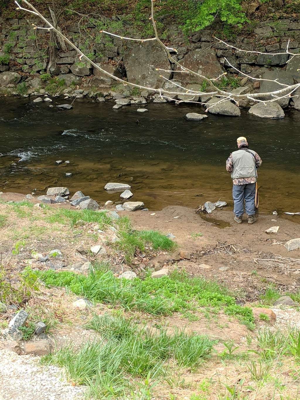 Gunpowder Falls Trail - Bel Air rd Crossing. | Kingsville, MD 21087, USA