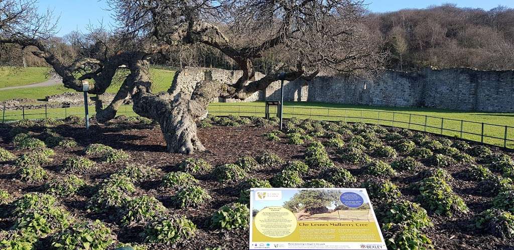 Lesnes Abbey | Belvedere DA17 5DY, UK