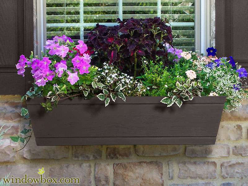 Windowbox.com | 6056 Corte Del Cedro, Carlsbad, CA 92011, USA | Phone: (888) 427-3362