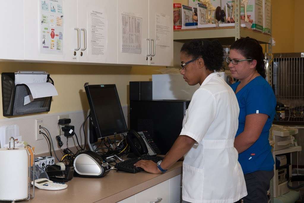 Foster Animal Clinic at Parkway Commons | 3805 Concord Pkwy S #124, Concord, NC 28027, USA | Phone: (704) 262-7387