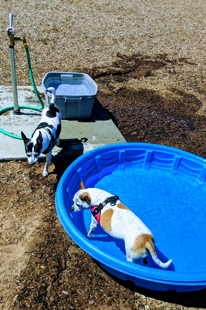 Ouray Dog Park | 7500 Ouray Rd NW, Albuquerque, NM 87120, USA | Phone: (505) 768-5353