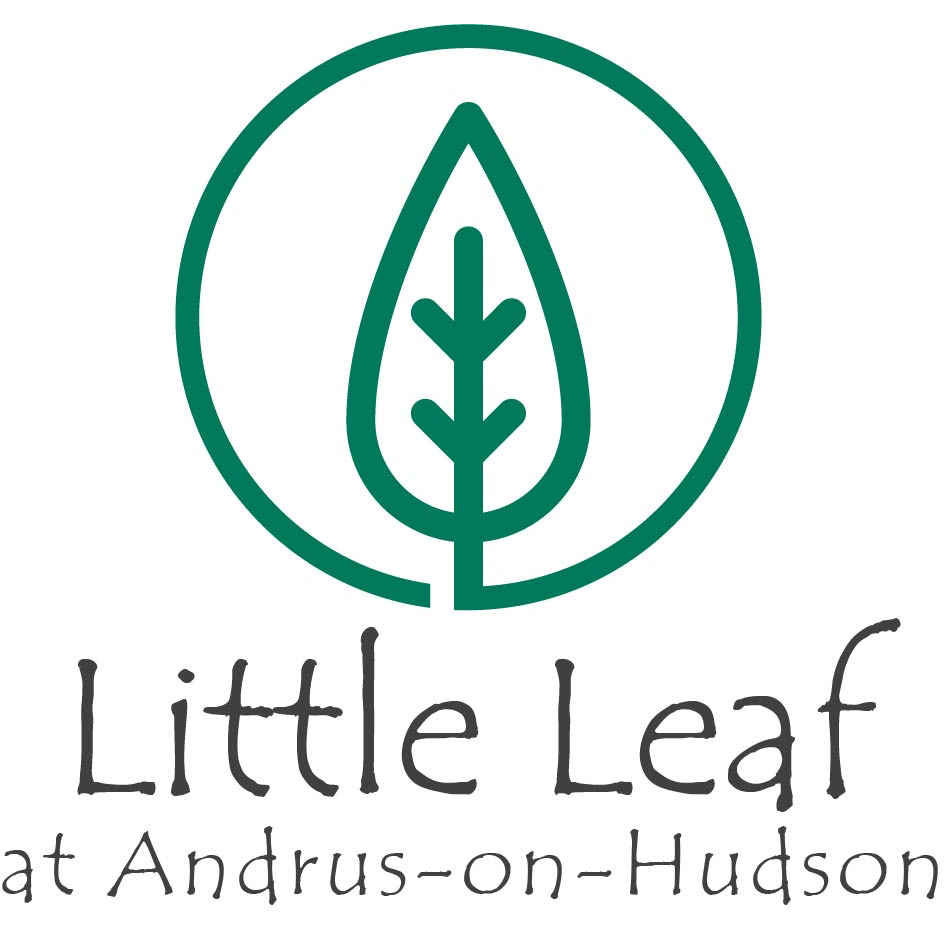 Little Leaf at Andrus-on-Hudson | Andrus On Hudson, 185 Old Broadway, Hastings-On-Hudson, NY 10706 | Phone: (914) 418-4541