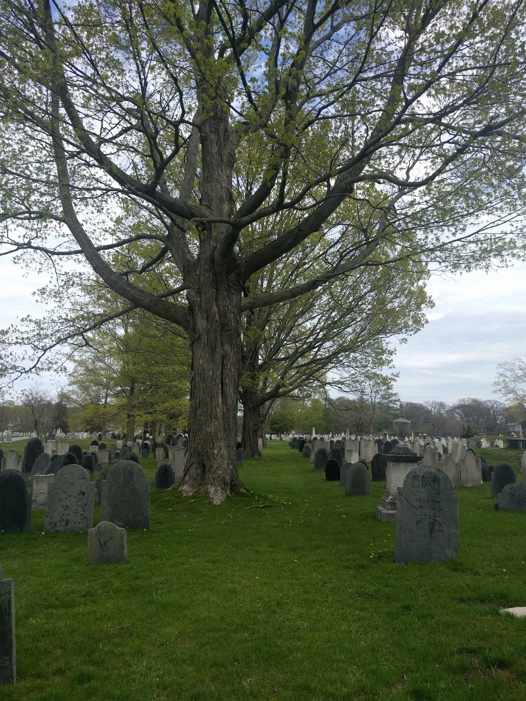 Central Cemetery in 60 Hale St, Beverly, MA 01915, USA