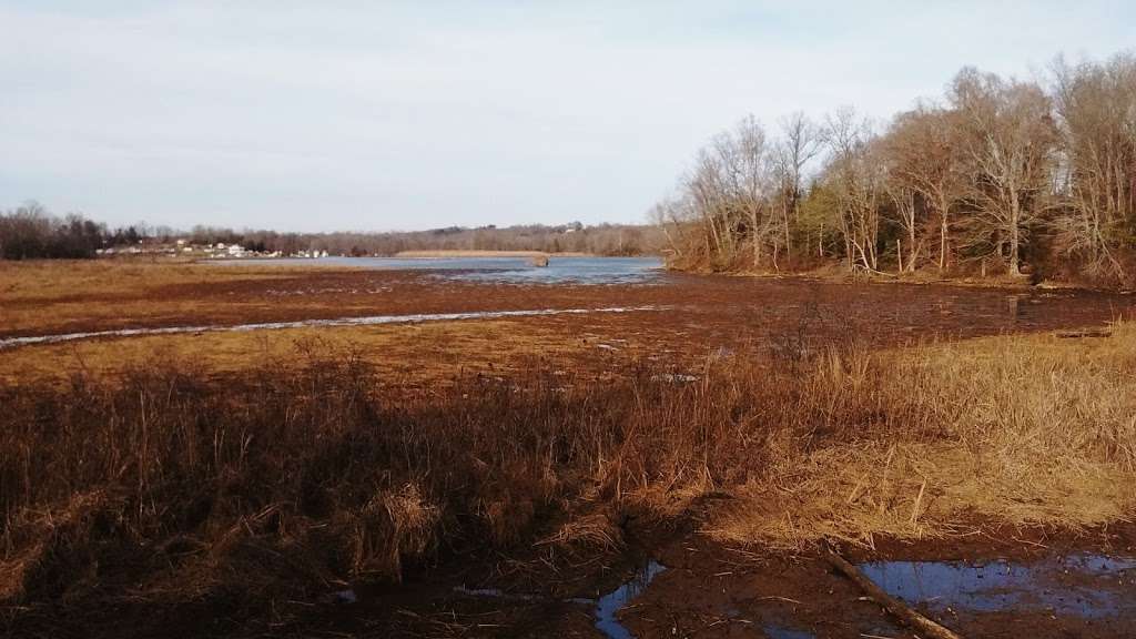 Government Island Park entrance | Coal Landing Rd, Stafford, VA 22554, USA | Phone: (540) 658-4871